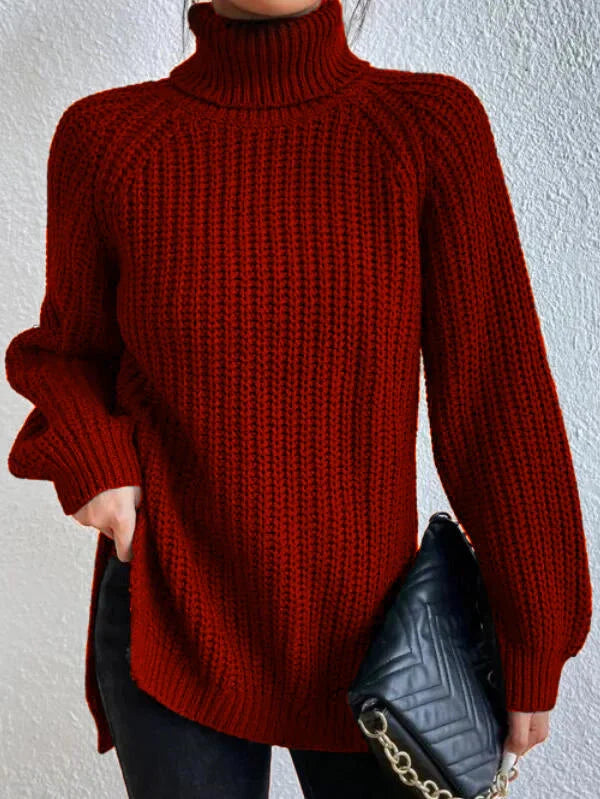 Carolina - Pull en Maille Col Roulé