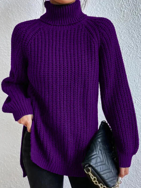 Carolina - Pull en Maille Col Roulé